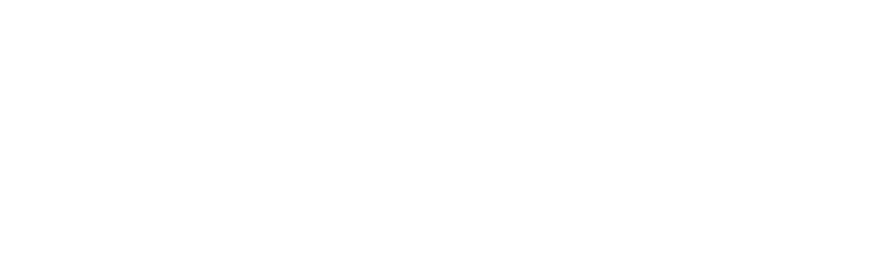 vuurwerkplaza.de